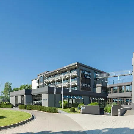 Salinenparc Design Budget