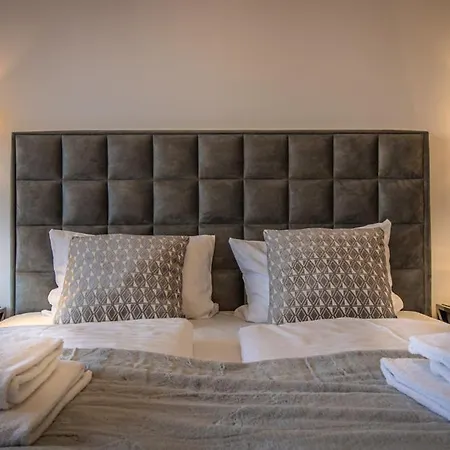 Salinenparc Design Budget מלון 4*