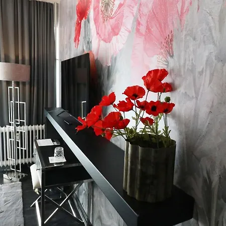 Salinenparc Design Budget מלון 4*