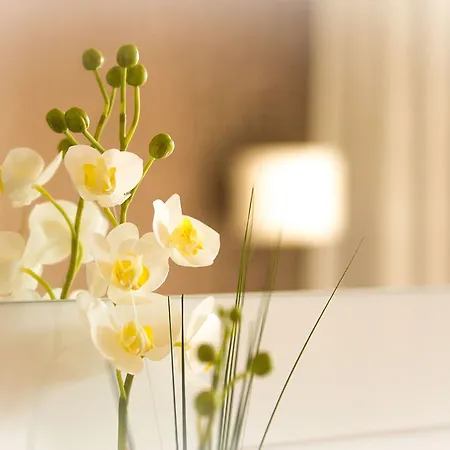 Hotell Salinenparc Design Budget