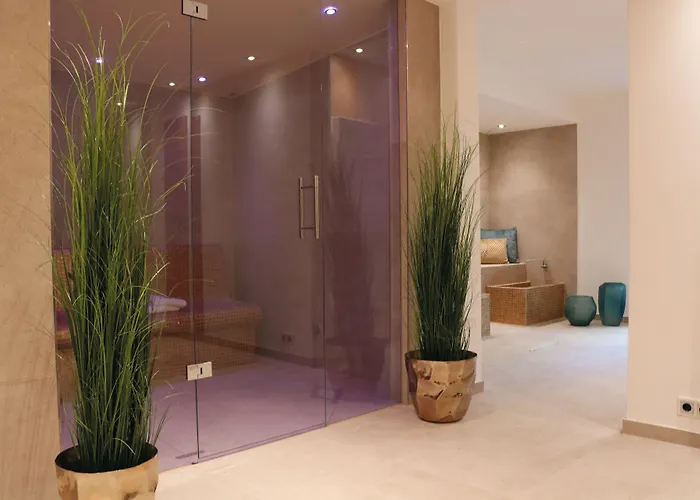 Salinenparc Design Budget