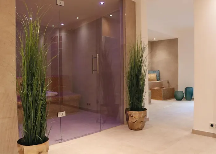 Hotel Salinenparc Design Budget 4*