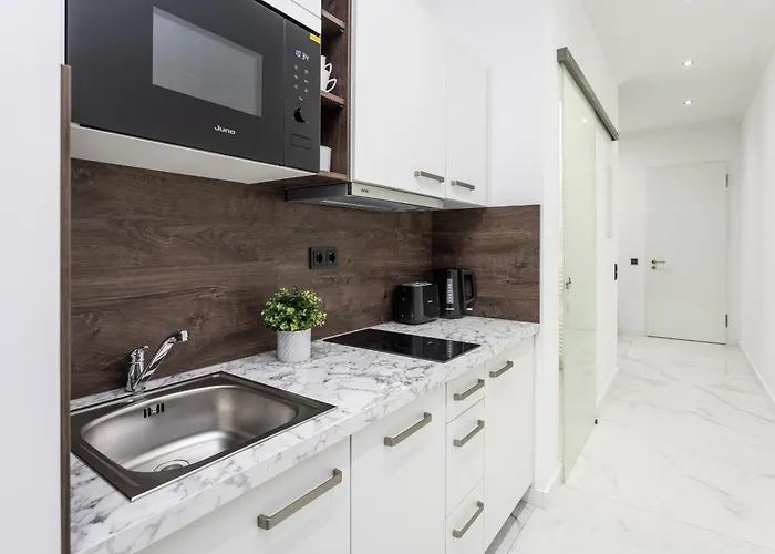 Salinenparc Design Budget 호텔